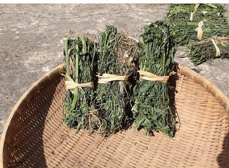 伊梵麦优选野外龙葵白花菜黑茄子全株带根草干中药材500g图片色