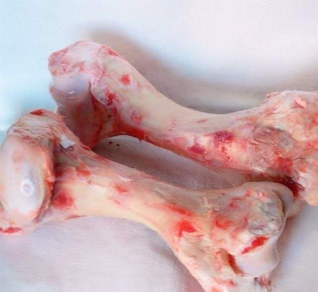 新鲜冷冻牛筒骨牛腿骨纯圆牛棒骨50斤牛骨头牛肉汤酒店烧烤食材50斤按