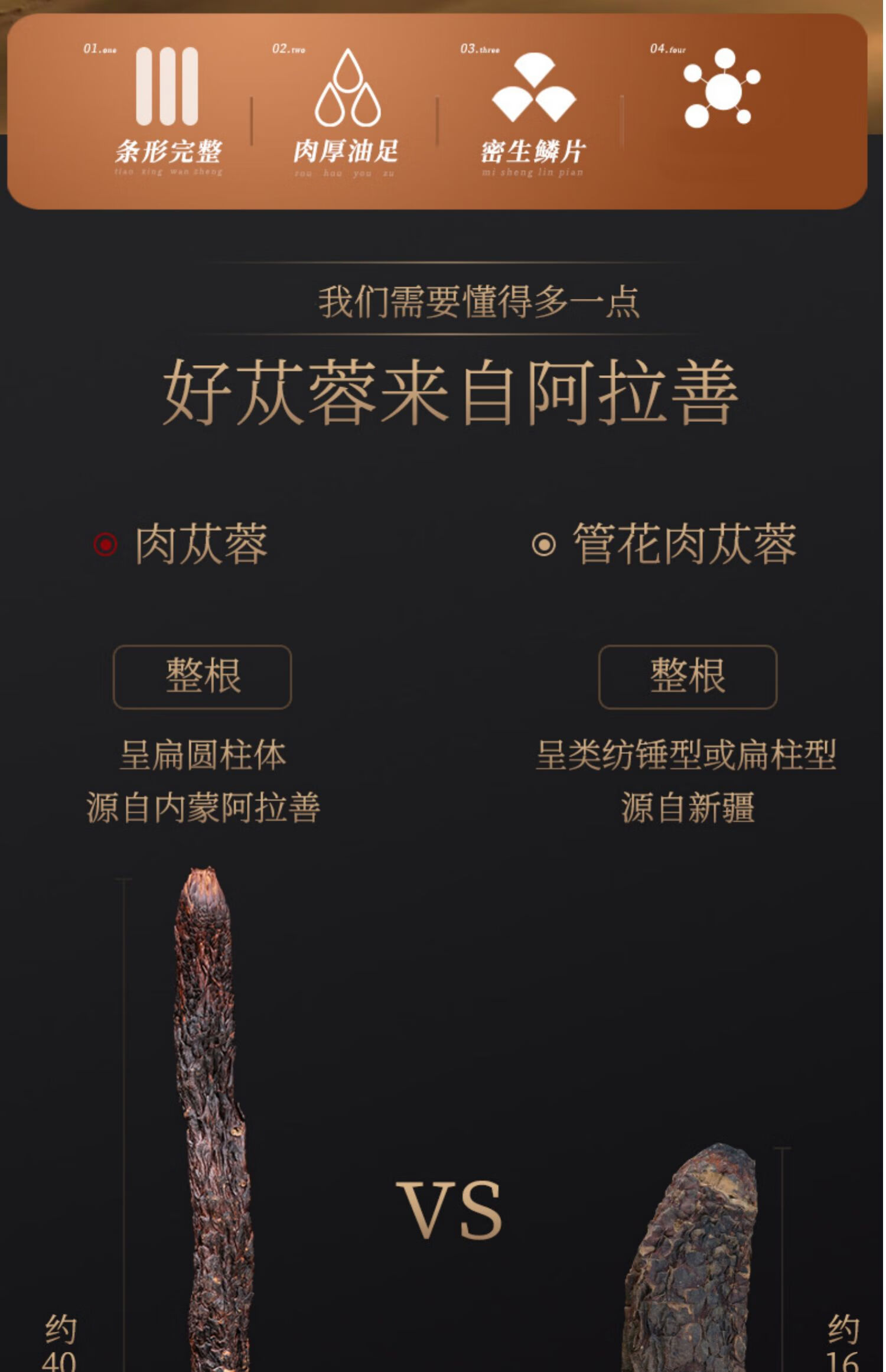 正宗内蒙古阿拉善油性肉苁蓉整根泡酒料可搭锁阳淫羊藿中药材 肉苁蓉3