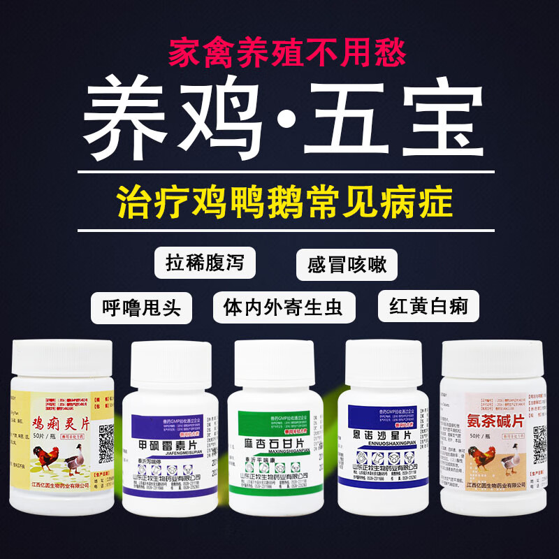 鸡开口药是什么意思 雏鸡开口药是什么意思
