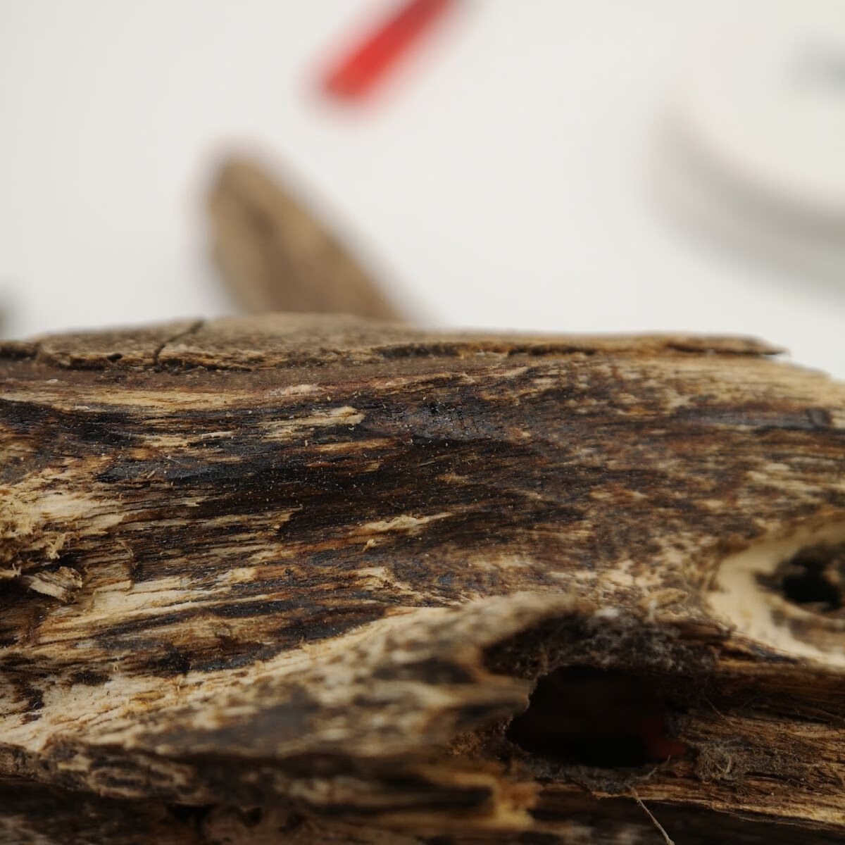 轩野 海南虫漏沉香原材摆件 半黑油天然沉香虫眼 沉香蚁漏沉香木料