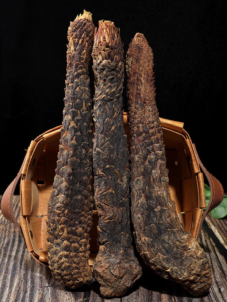 内蒙古阿拉善肉苁蓉整根沙漠软肉油苁蓉整根切片肉松从容可搭配正宗