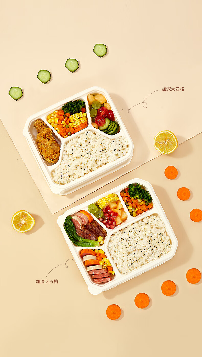一次性降解快餐盒四格天纯一次性四格五格饭盒快餐盒材料外卖打包分