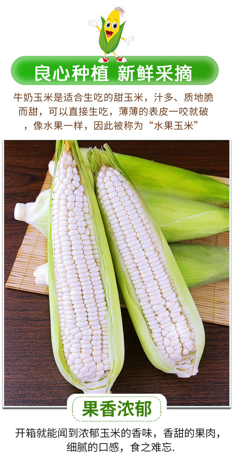 云南牛奶白糯玉米新鲜应当季现摘苞谷水果爆浆甜嫩白玉米棒整箱精选3