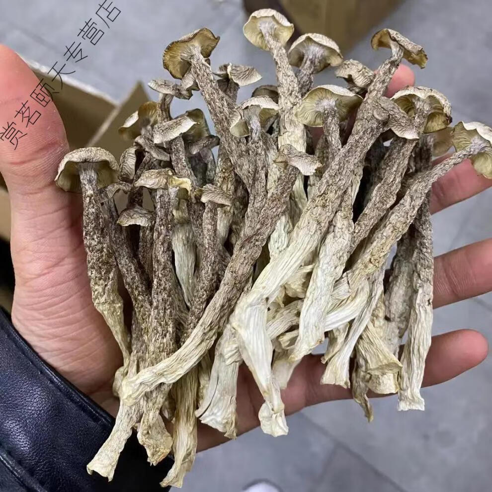 鹿茸菇乾貨鹿茸菌500g淨重無硫福建土特產煲湯一斤食材新香菇500g