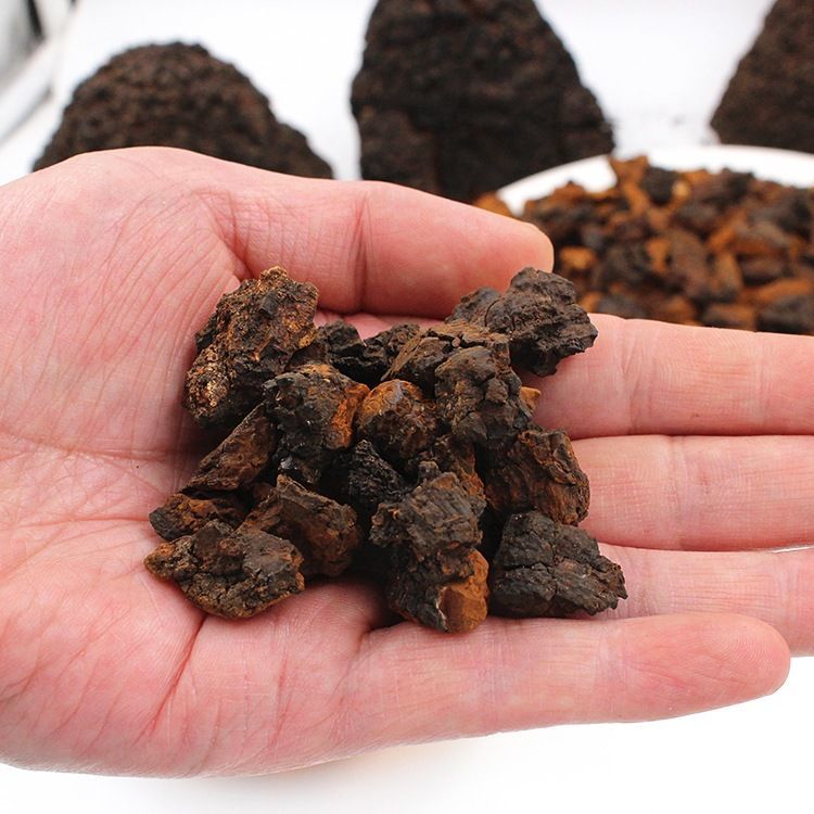 桦树茸野生白桦茸俄罗斯进口黑金颗粒桦树茸茶长白山桦树精粉桦树茸块