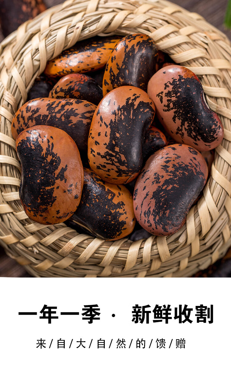 呆呆菇娘牛眼豆斤大黑花芸豆黑大豆黑腰豆紫芸豆超大芸豆花芸豆五谷