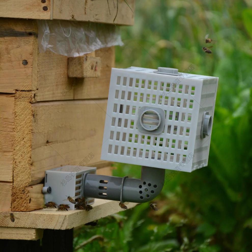 中蜂自动分蜂器收王器多功能防逃器巢门除雄蜂器防逃框防逃片收蜂