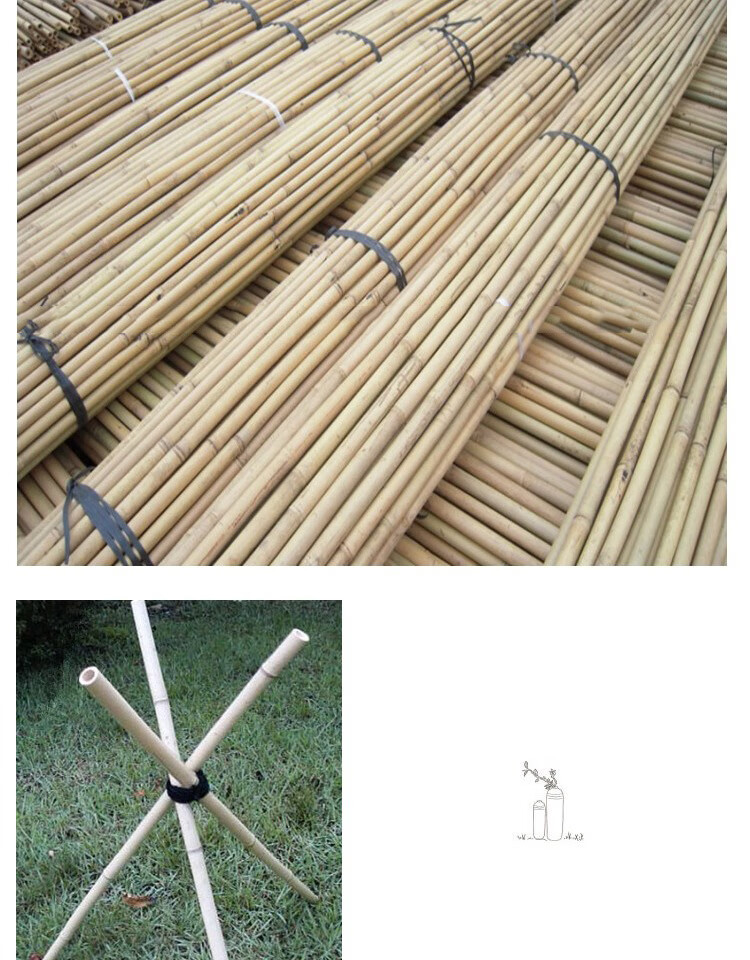 旗杆彩旗竹竿园林竹竿1米2米3米竹子茶杆竹竹篱笆竹围栏244米大头约22