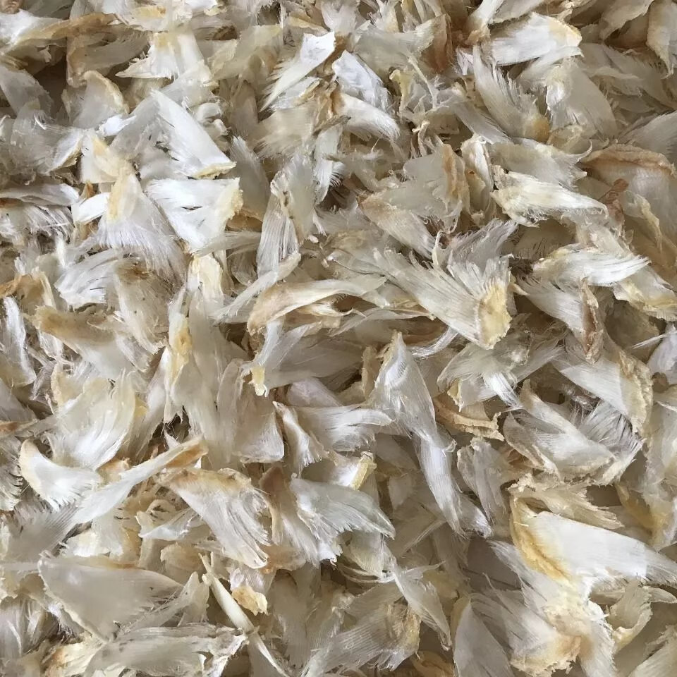干货46寸白蝉翅100克