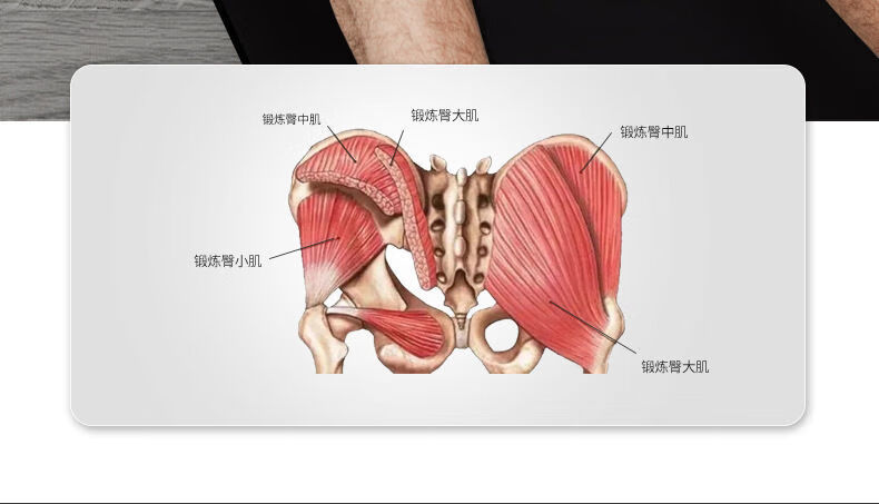 男性骨盆底肌训练方法图片