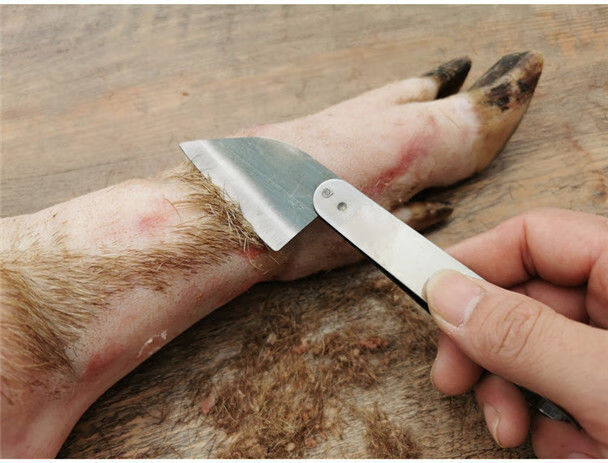 家用刮猪毛刀片退去猪毛神器刨剃猪毛专用刀杀猪神器猪毛刮毛器去毛