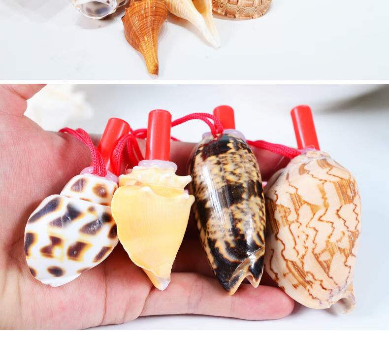 海螺号角海螺哨子号角可吹喇叭口哨大海螺贝壳儿童哨小螺号吹响sn2300