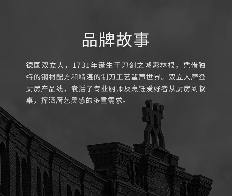 肖战同款德国双立人zwillingdragon龙铸铁锅饭釜锅黑珐琅汤锅炉具通用