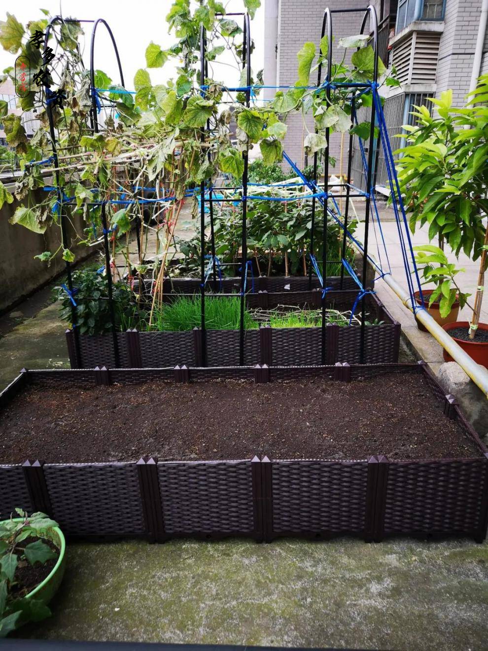 可狄kedi蔬菜种植箱特大阳台种菜盆长方形家庭屋顶菜园塑料种菜花盆花