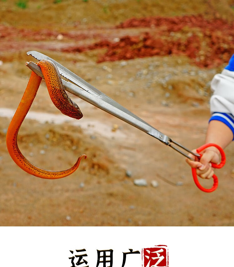 不锈钢黄鳝夹子泥鳅鳝鱼夹螃蟹小龙虾钳防滑防脱抓捉专用赶海工具 100