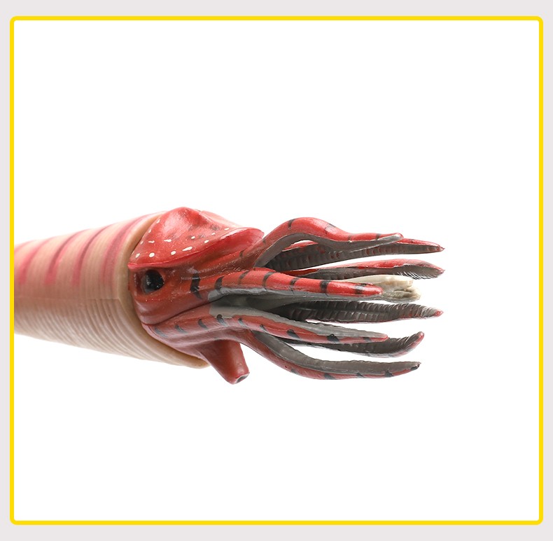 wantmoin玩模乐儿童仿真远古生物直角石鹦鹉螺玩具模型早教认知