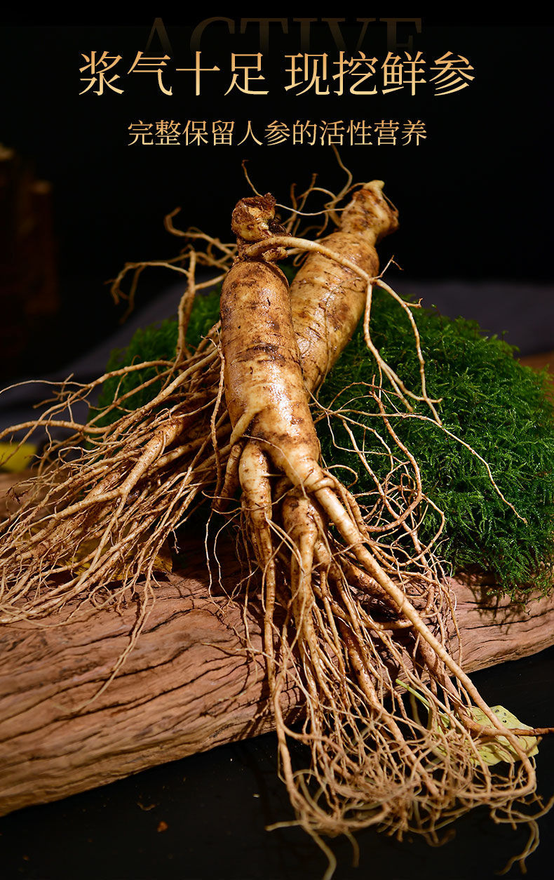 【8年特大参】长白山人参带土新鲜野山参长白山人参东北特产产地 两根