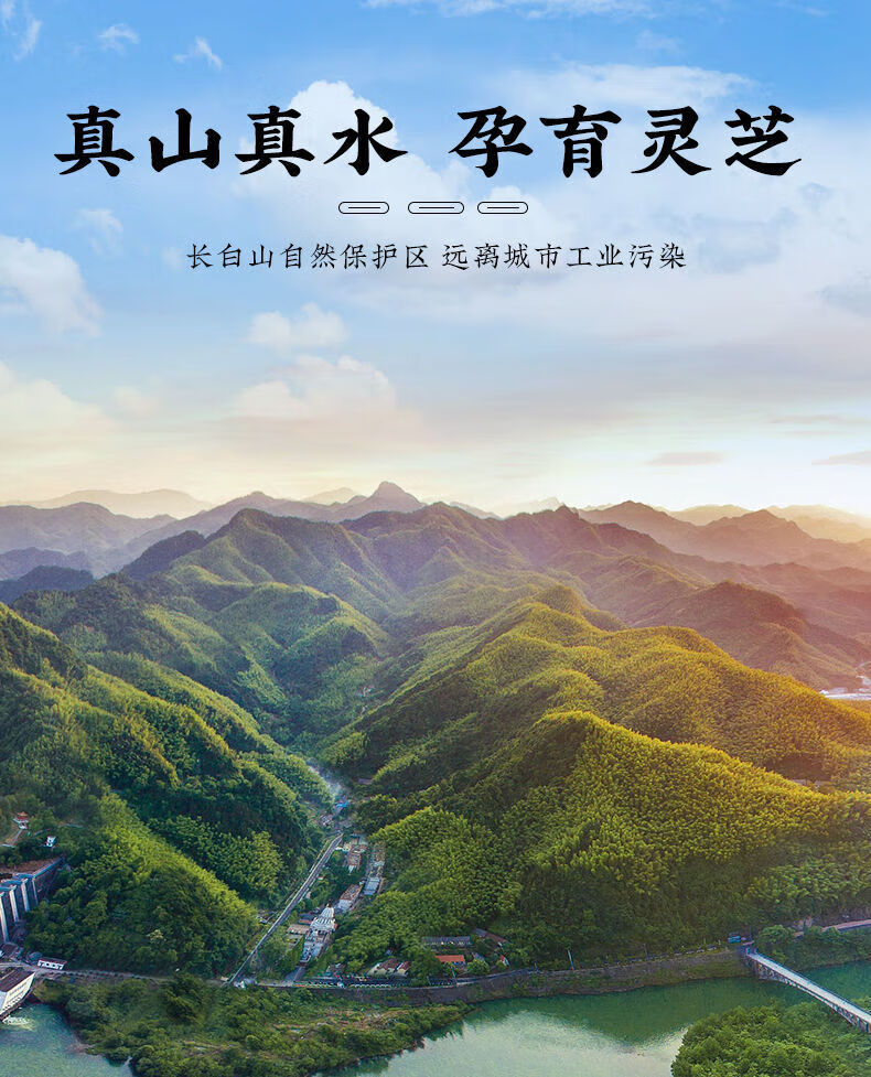 98dd6b1004c61564.jpg