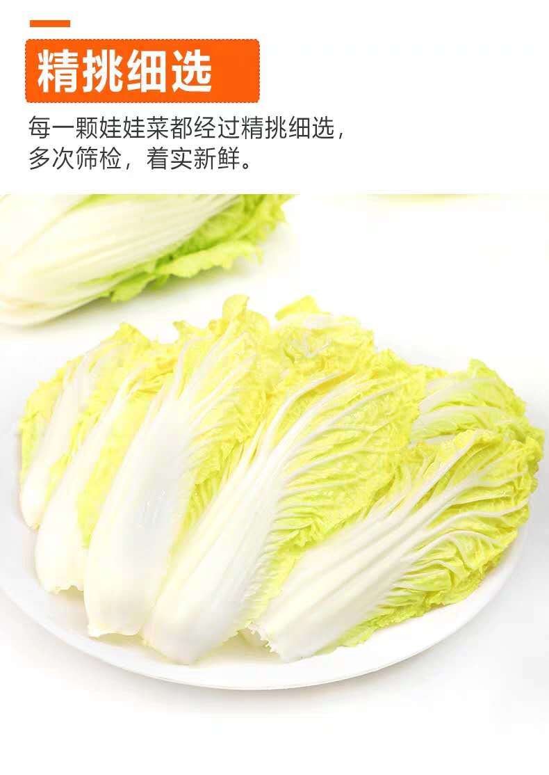 精品娃娃菜新鲜蔬菜精品黄心小娃娃菜火锅食材青菜时令蔬菜类精品娃娃