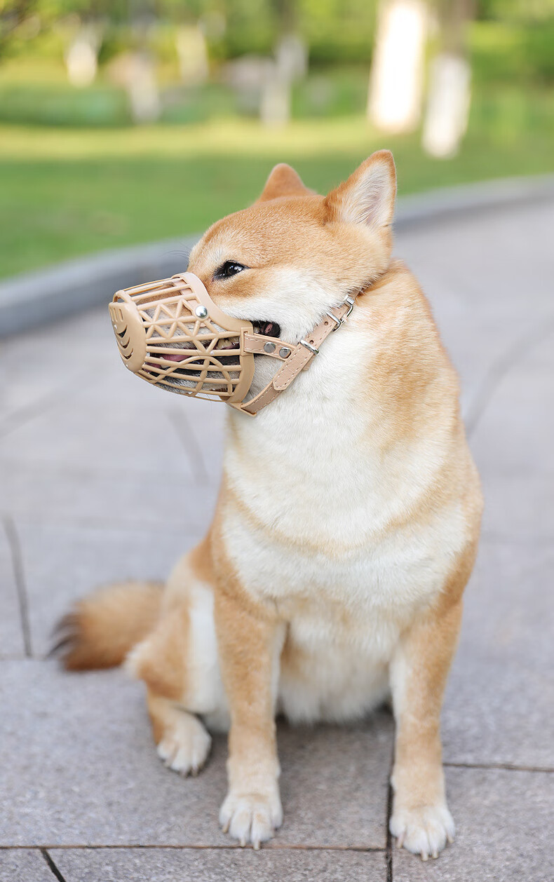 狗狗嘴套防咬叫乱吃口罩小型大型犬宠物止吠器泰迪用品狗套笼狗罩