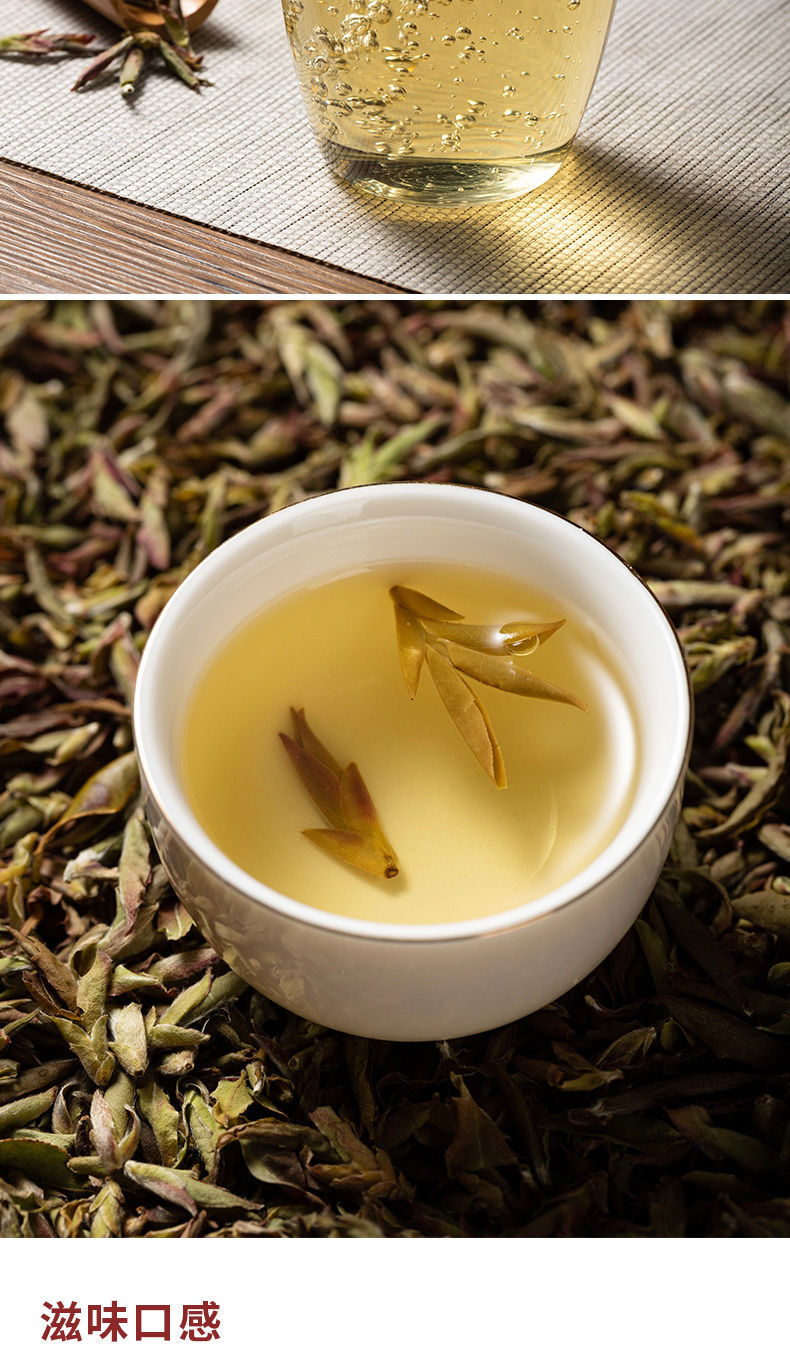 云南紫芽孢茶2022年春茶紫芽苞茶古树芽孢生茶散茶紫芽孢500克一斤装