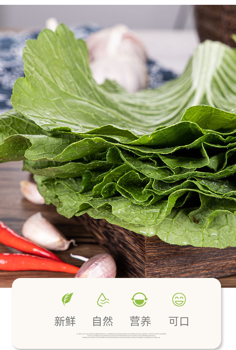 新鲜蔬菜饭包叶大白菜叶子饭包专用白菜叶60片