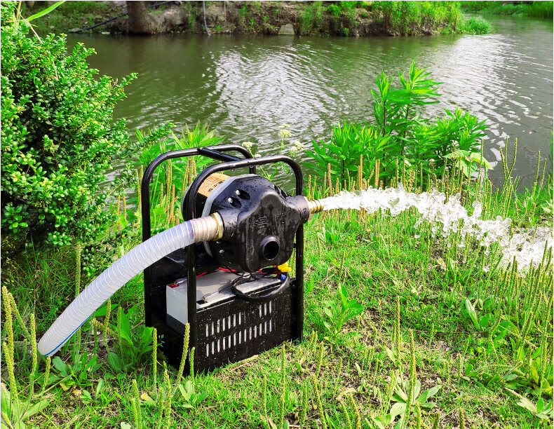 充电自吸水泵户外便携式浇菜水泵农用灌溉12v高压抽水泵六分水管 【12