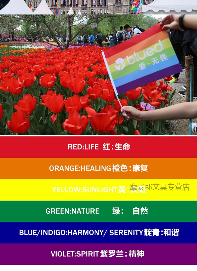 昂古 彩虹旗定制旗帜订做lgbt彩虹lgbtflag制作同性恋彩旗同志彩虹旗