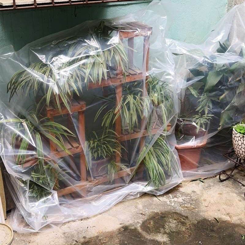 园艺盆栽植物树苗防冻套袋透明防寒膜保护罩嫁接套树苗塑料袋保暖 50*