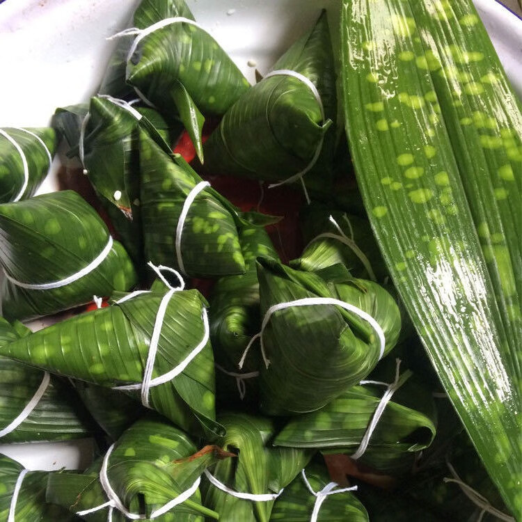 四川花粽叶新鲜粽子叶一叶兰箬叶花斑粽叶大粽子叶包粽子100片