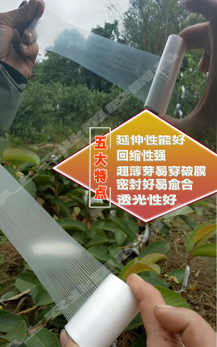 果树苗木嫁接膜嫁接绑带缠绕膜包装透明膜条农业膜管膜农资长5cm