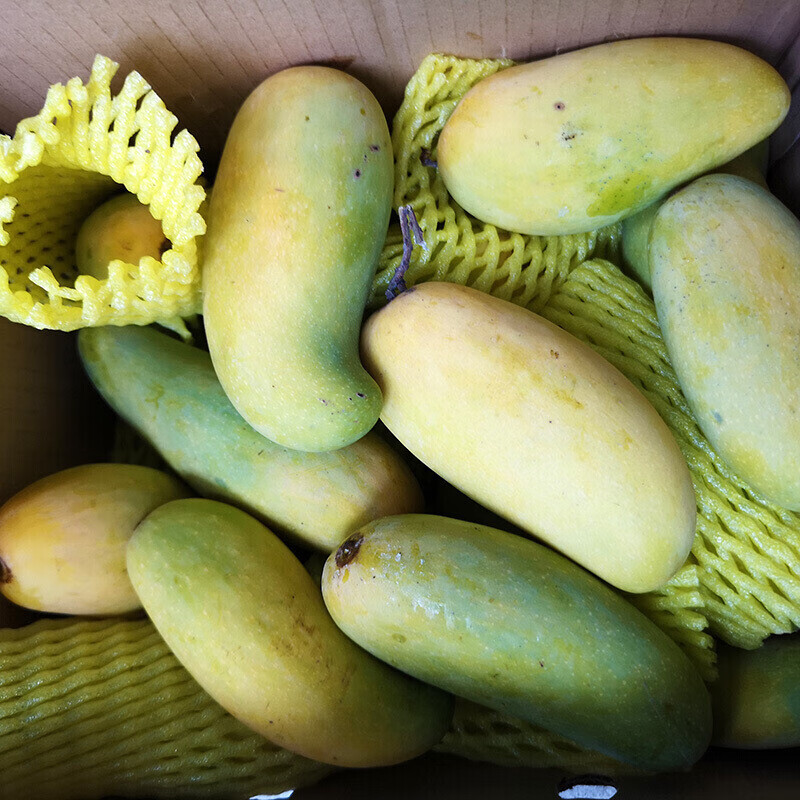 海南小象牙芒果3/5/9斤装 三亚腰玉芒台农金煌贵妃芒 热带应季水果