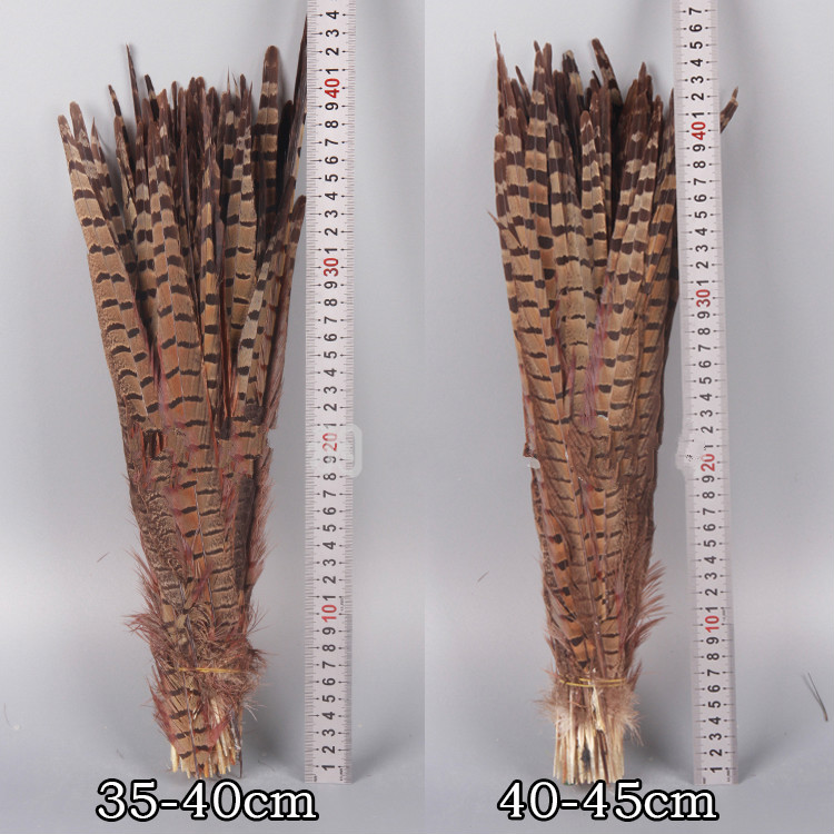草庄野鸡毛野鸡毛地鸡毛逗猫羽毛棒山鸡羽毛京戏翎子山鸡尾25110厘米
