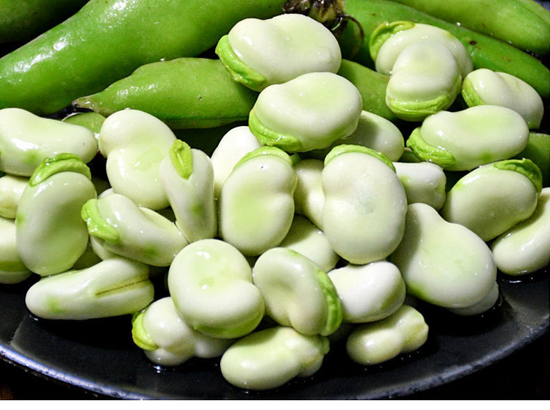 2022年新鲜蚕豆带壳大青蚕豆嫩胡豆四川本地当季现摘蔬菜豆荚云南5斤