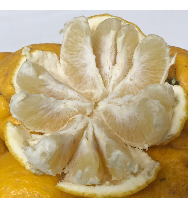 臭皮柑新鲜水果湖北抛柑超酸泡干酸柑子桔子黄皮泡甘5斤