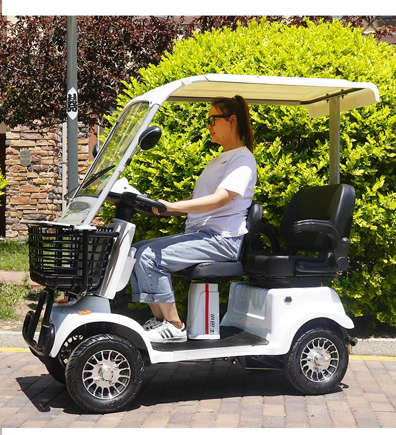车电瓶车老人带棚新能源电动四轮车双人e90800w60v20ah锂电池带棚帘