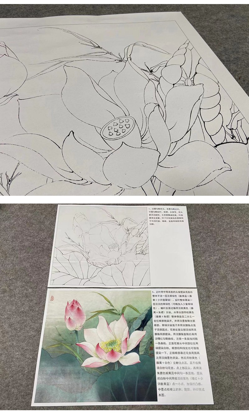 桔舍李晓明工笔画白描底稿荷花小品原作大小4040厘米花鸟线稿带a3步骤