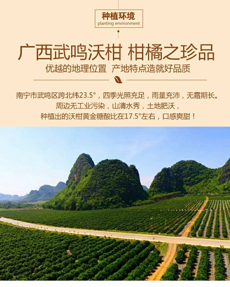 精选直发广西现摘现发正宗桔子整箱丑柑当季柑橘泡沫箱保鲜发货净重9