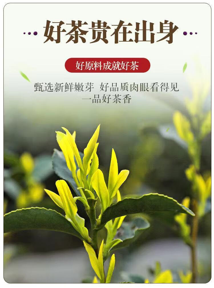 一克金茶叶品牌图片