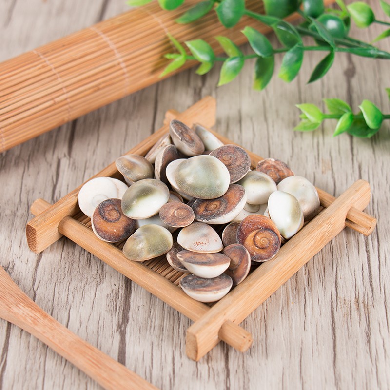 甲香 水云母 太极石 催生子海月 精选包邮 100克