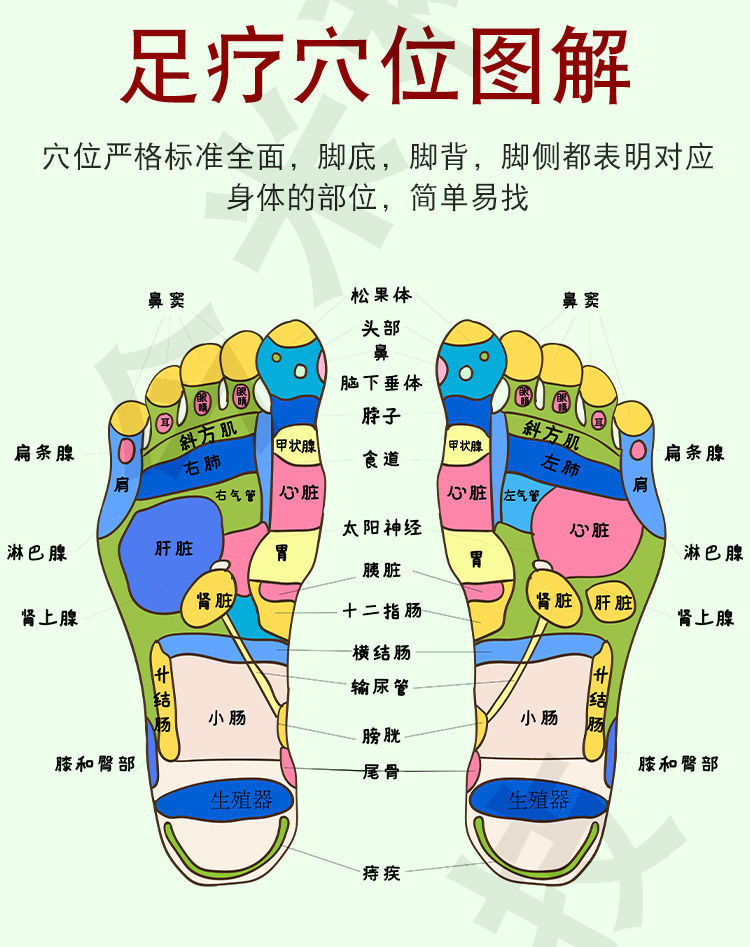 足疗脚底疼痛部位图解图片