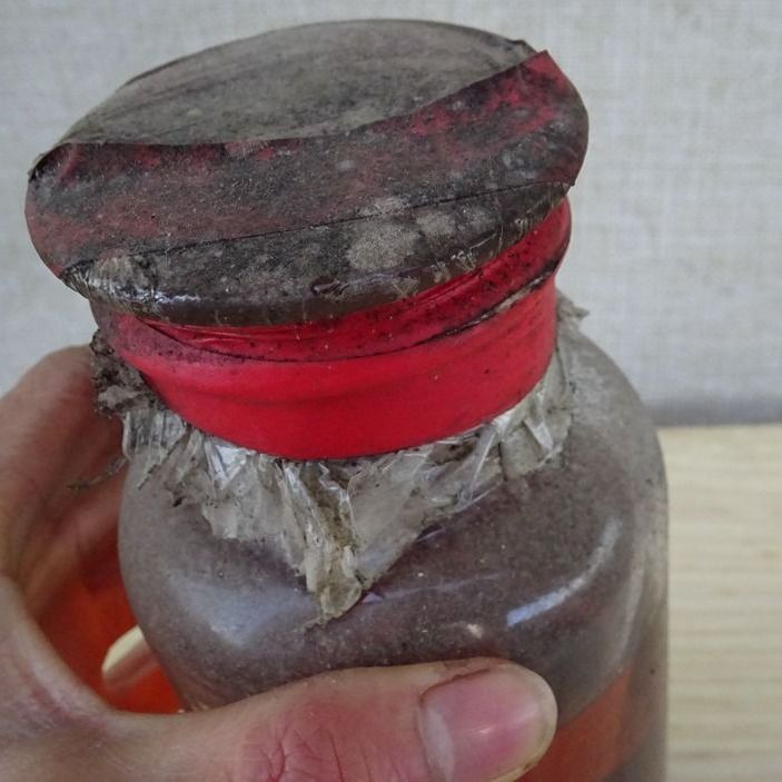 深山老蜈蚣酒活泡蜈蚣药酒斤装2条蜈蚣陈年【图片 价格 品牌 报价】