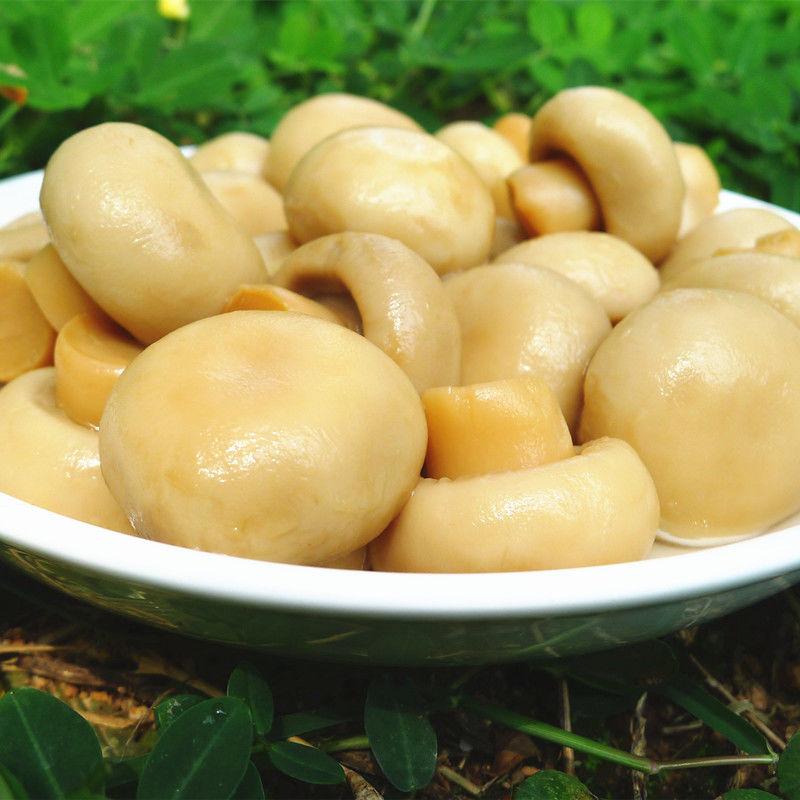 口蘑罐头 口蘑双孢菇白蘑菇罐头火锅配菜披萨烘焙材料沙拉甜品西餐