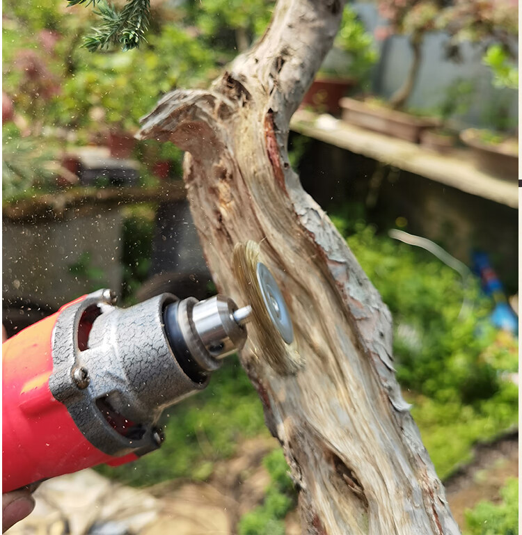 盆景舍利干制作电动打磨头雕刻工具盆景造型杆径丝雕盆景工具 鼎木 丝