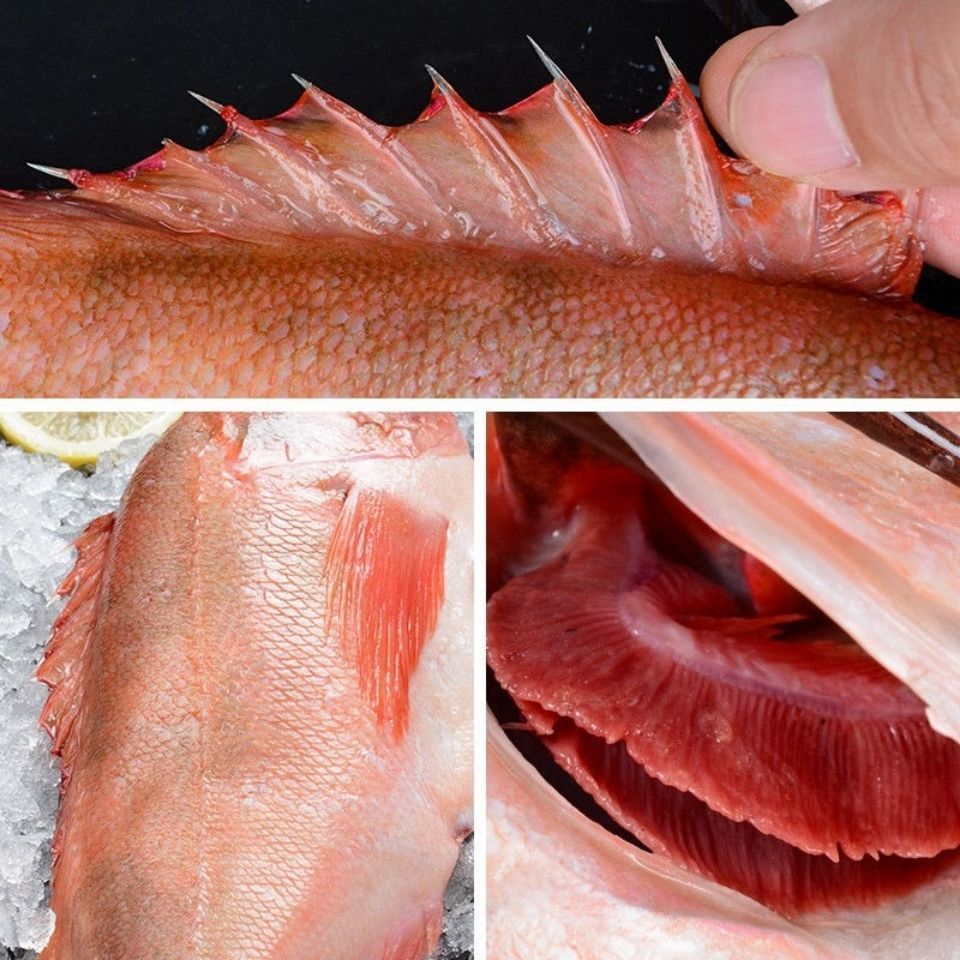 红色的海鱼 食用图片