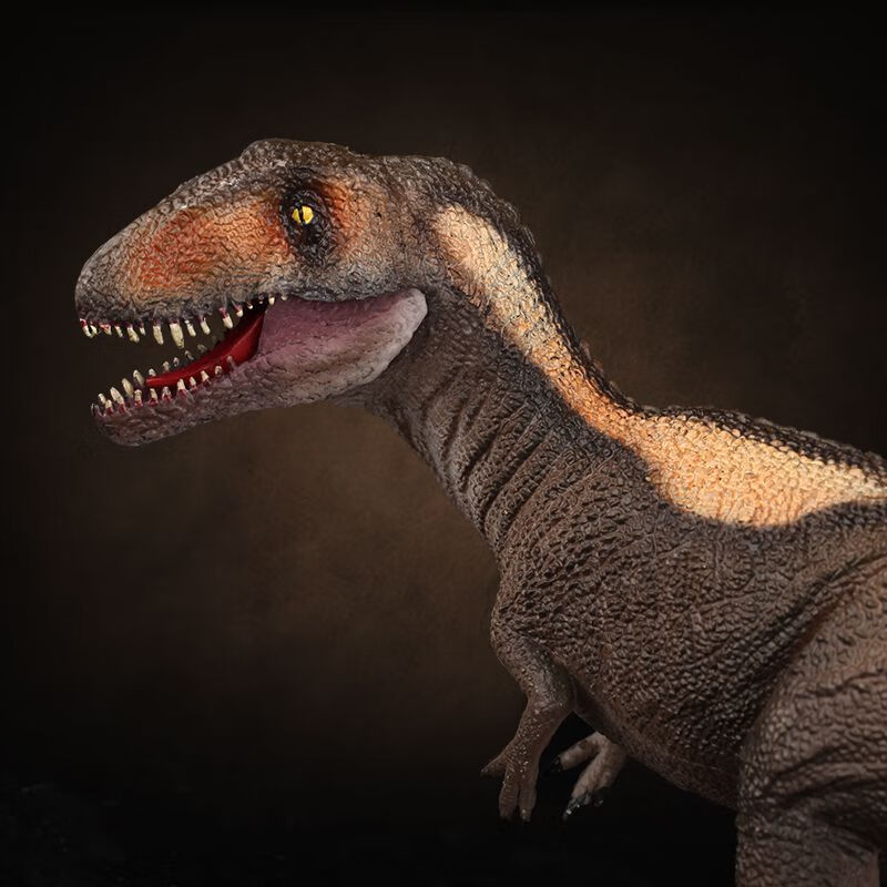 鲨齿龙模型恐龙玩具仿真动物模型儿童认知礼物 鲨齿龙【图片 价格