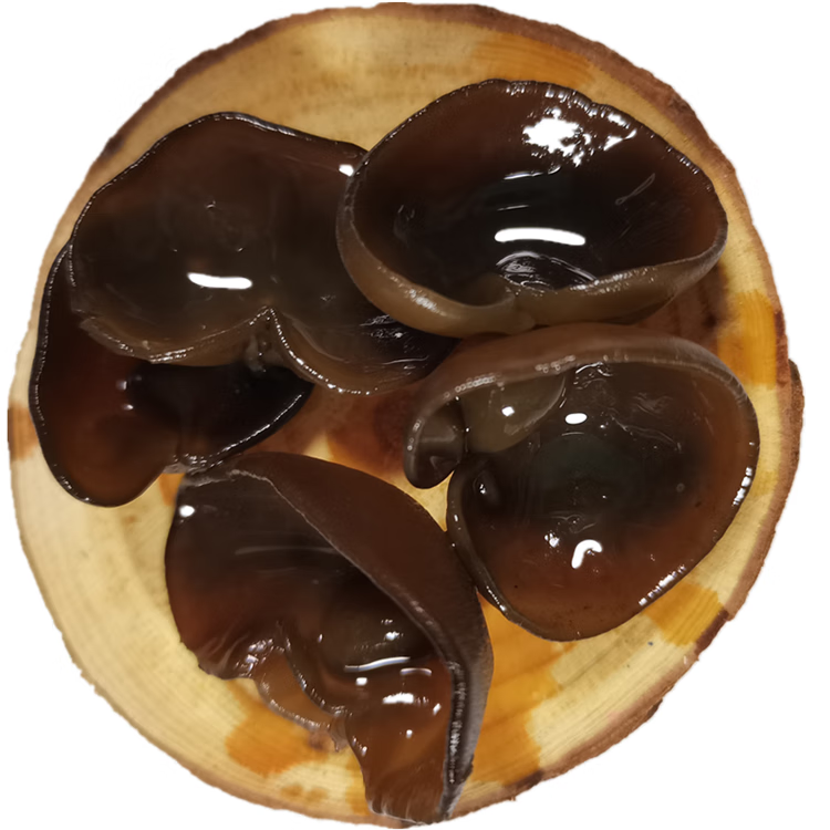 武夷山黑木耳椴木小云耳岩耳农家散装软嫩500g福建干货特产【图片