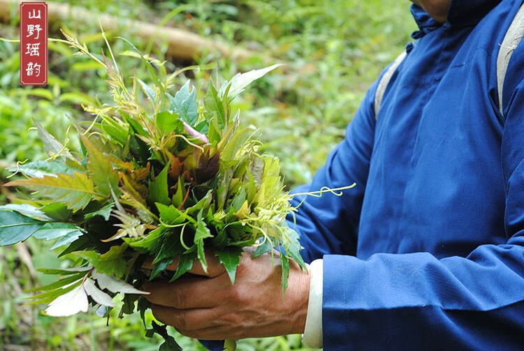 北京同人堂廣西特級野生藤茶正品巴馬藤茶富硒非恩施永順張家界茅巖莓