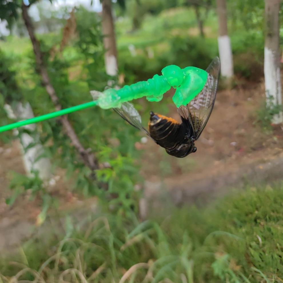 粘知了小绿手知了猴捕捉器抓知了能手粘球捕蝉神器知了杆 小绿手48-50